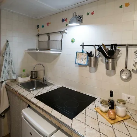Green Living * Mestre