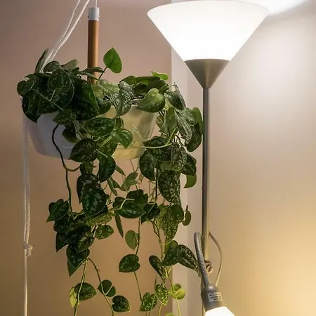 Appartamento Green Living *