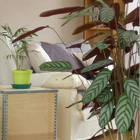 Green Living * Mestre