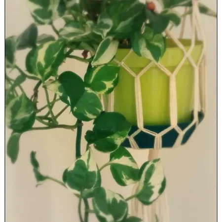Green Living * Mestre